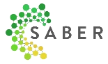 Logo Saber Educacional